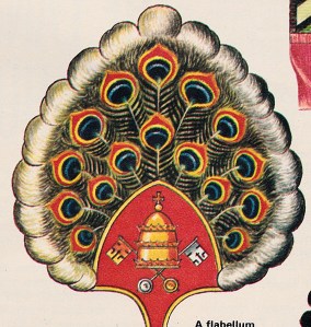 flabellumIMG_20130129_0001_NEW