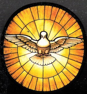 paloma-lo spirito santo.