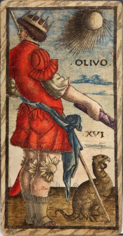 XVI olivo