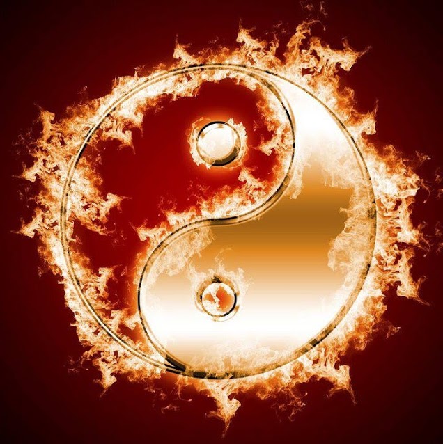 301102_527774103904486_1552519323_n