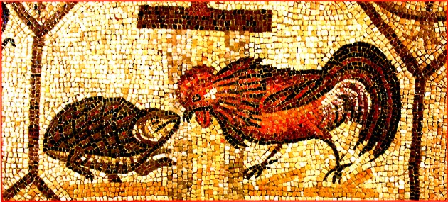 aquileia-mosaico-gallo-e-tartaruga-iv-dc